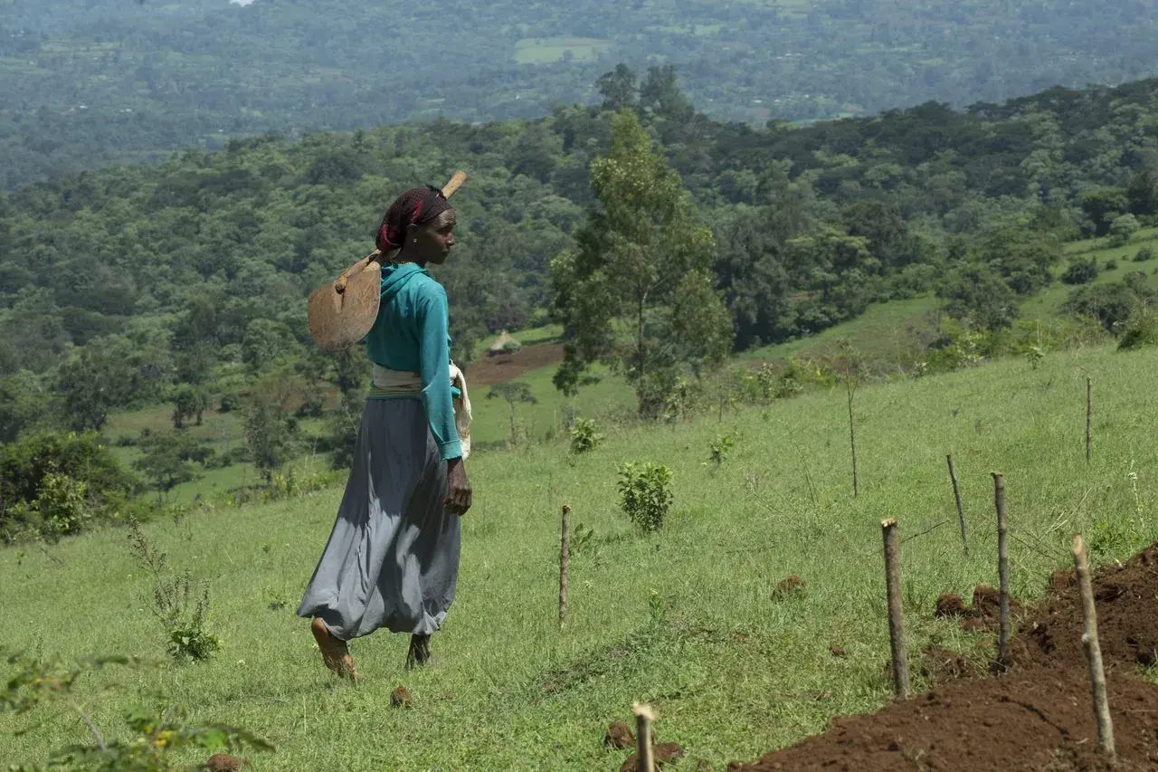 What You Need to Know About Social Inclusion in Results-based Climate Finance