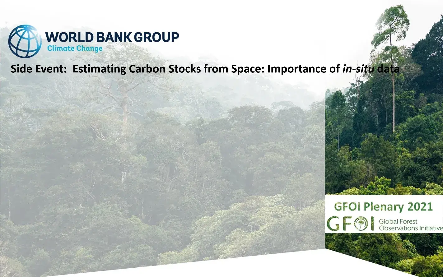Estimating carbon stocks from space
