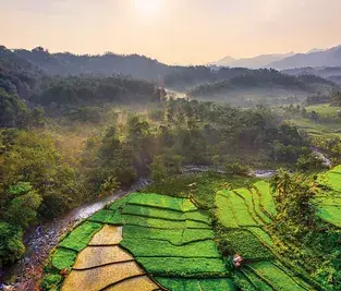 FCPF Quarterly Newsletter November 2023