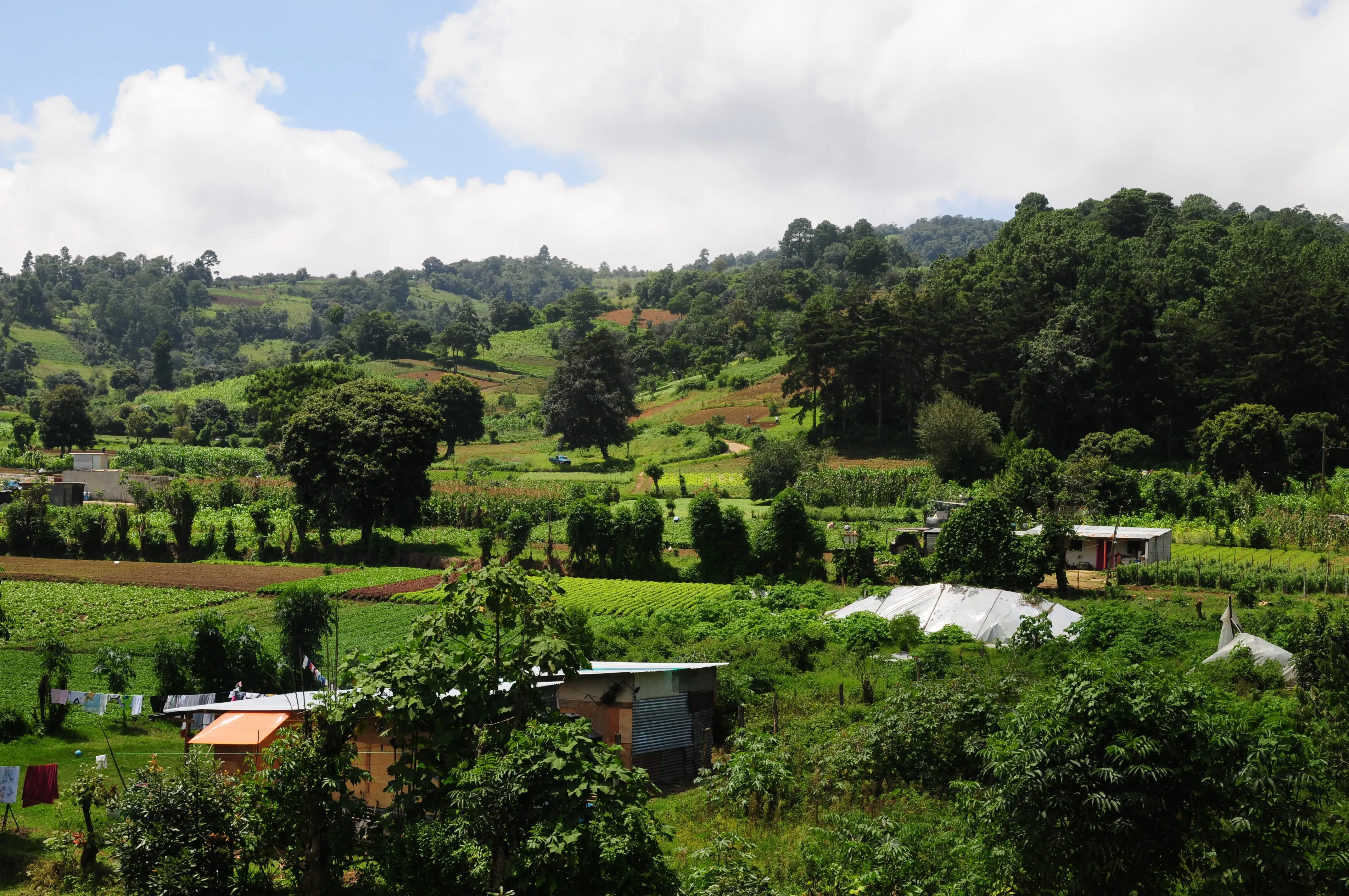 World Bank and Guatemala Sign US$52.5M Agreement To Cut Carbon Emissions And Preserve Forests