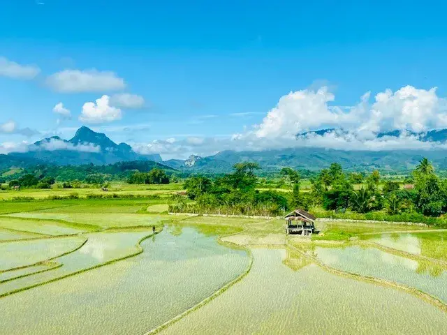 Quarterly Newsletter July 2022