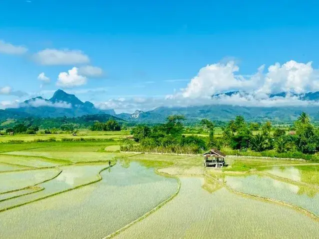 Lao Begins Transition from REDD+ Readiness to Results