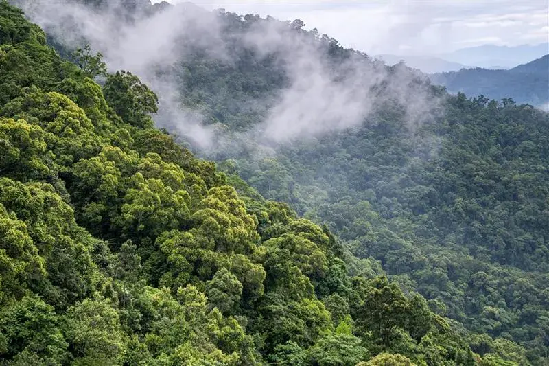 linhpham_wb_vietnam_erpa_DSCF2441