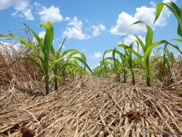 FCPF completes first ever accredited verification of emission reductions