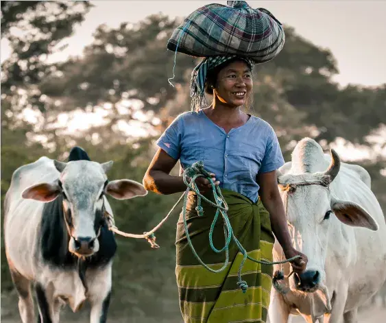 FCPF welcomes new civil society observers to its Readiness Fund