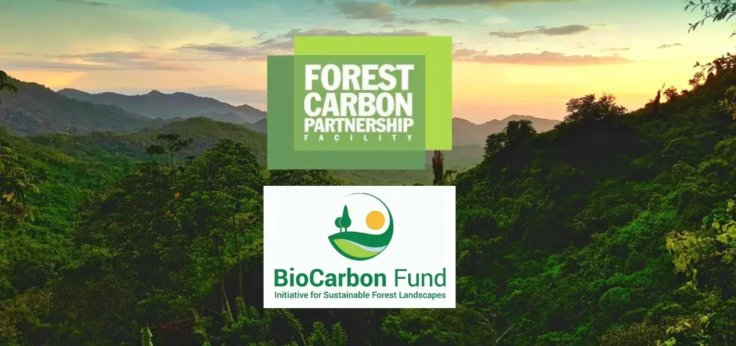 newsletter header with logo