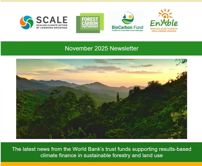 November News letter