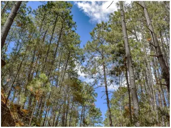 Participants Assembly Fourteenth Meeting (PA14)/Participants Committee Thirtieth Meeting (PC30)