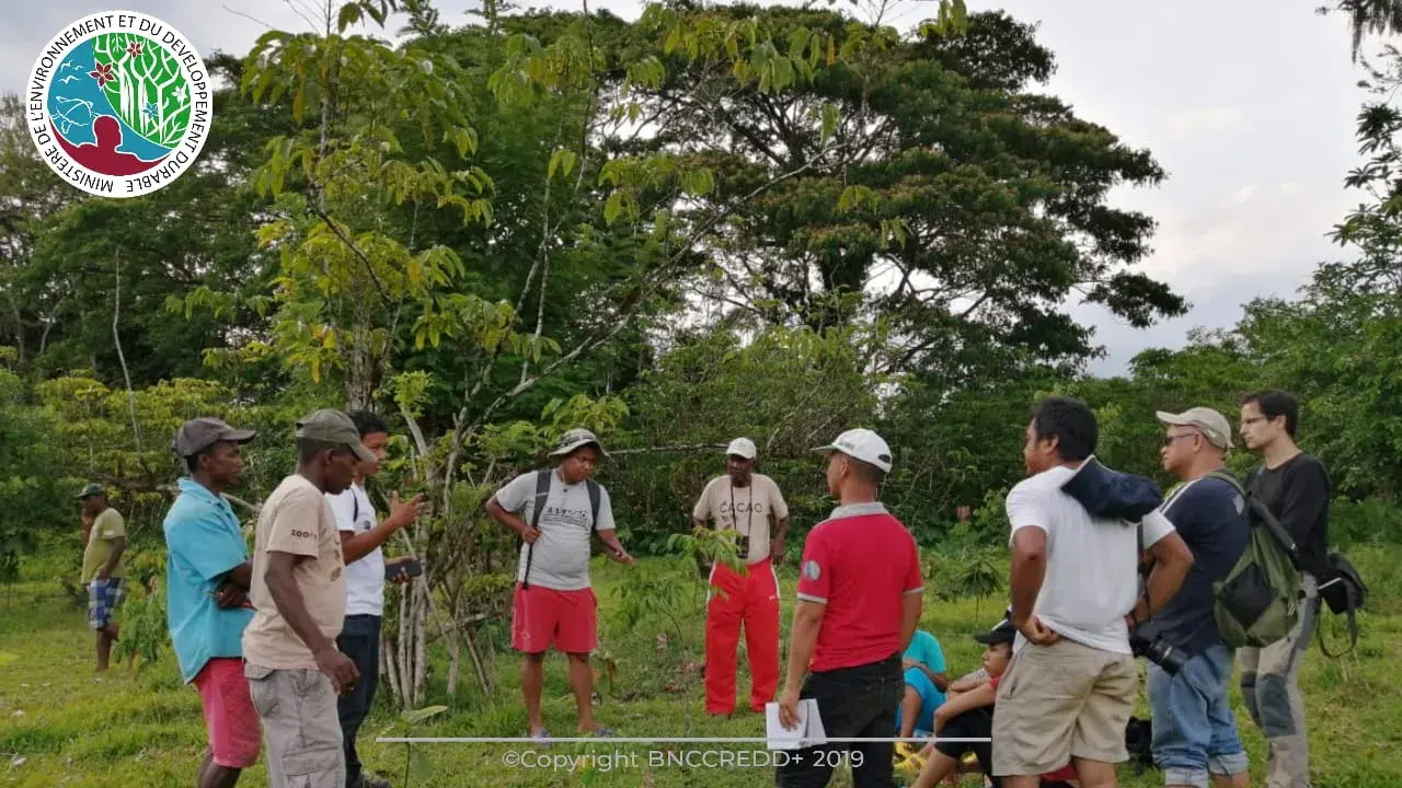 Madagascar receives $8.8 million for forest carbon credits that will further protect the remaining forests and communities
