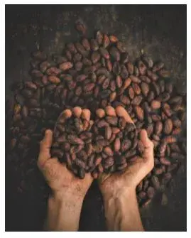 Quarterly Newsletter August 2021