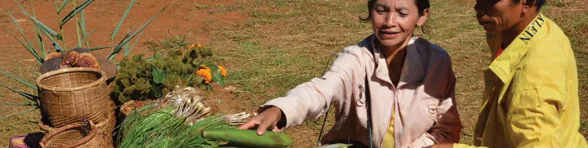 REDD+ Benefit Sharing