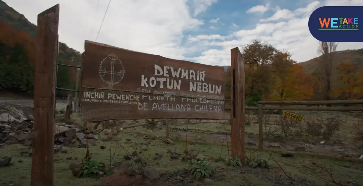 Pehuenche Women: Caring for the Forest, Cutting Carbon, and Building a Sustainable Future