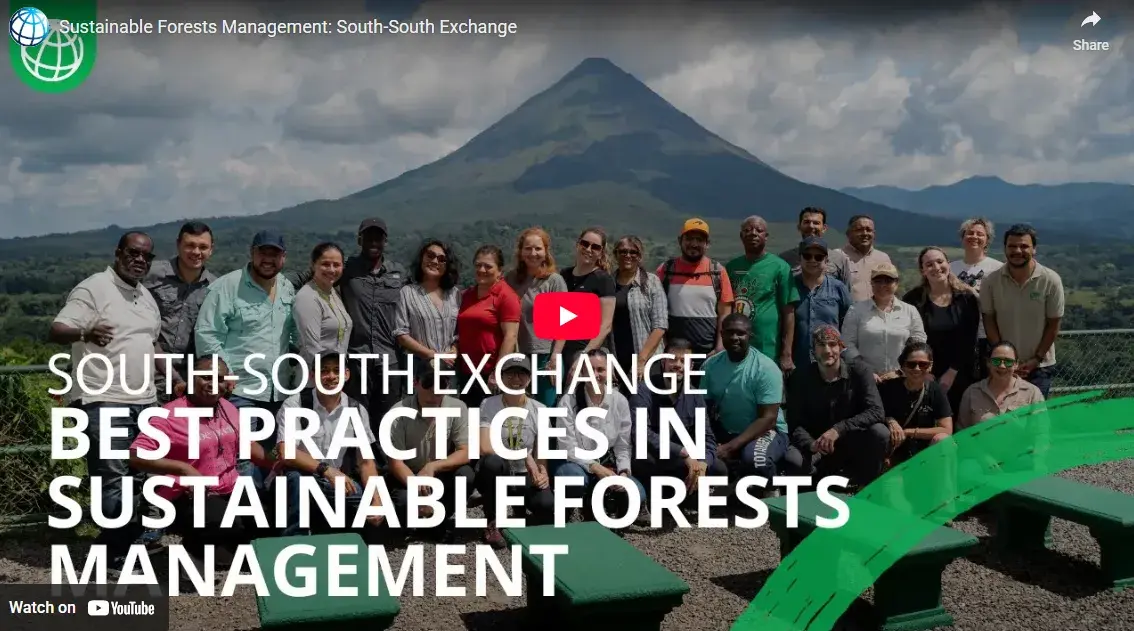 Sustainable Forest Management: South-South exchange