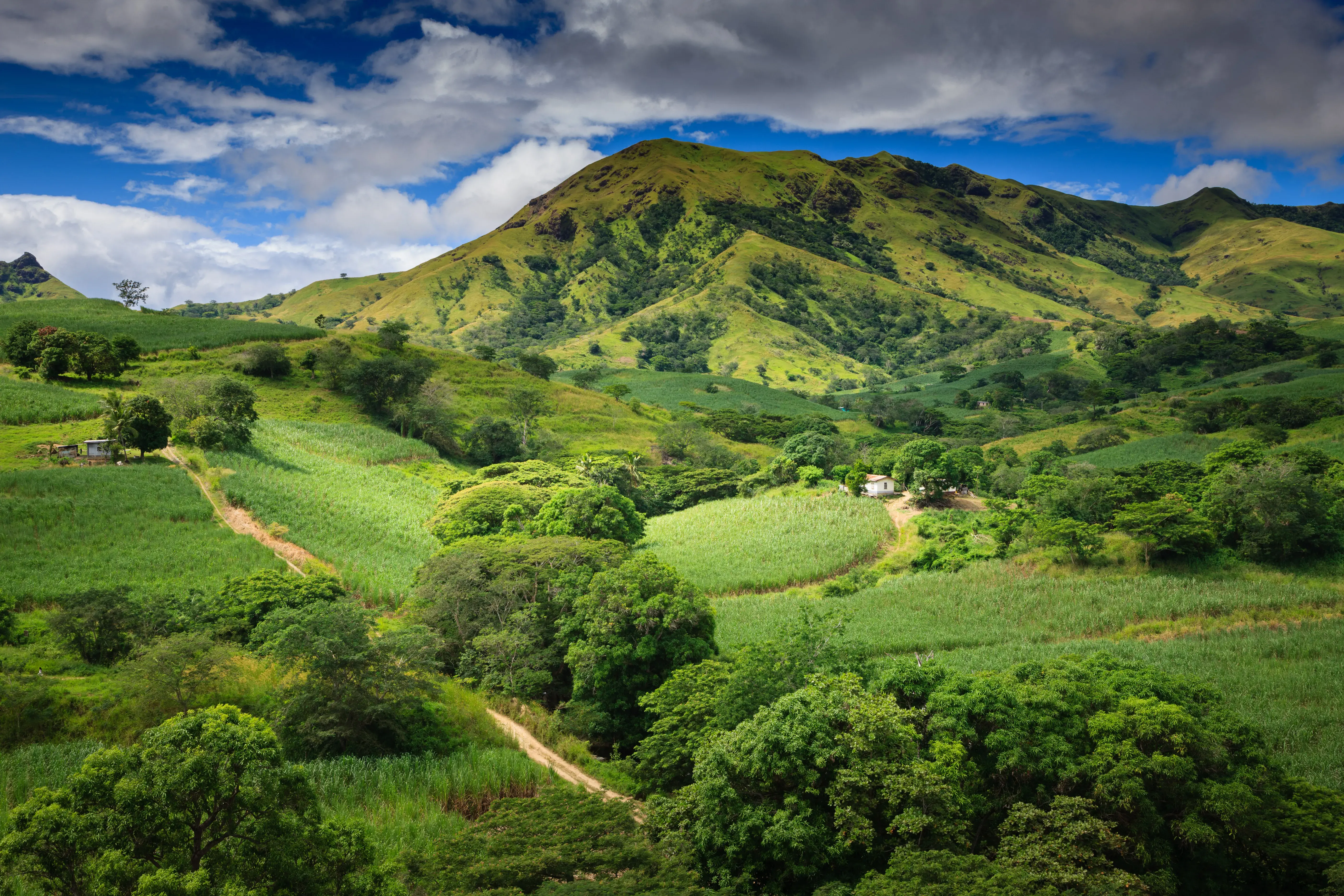 World Bank and Fiji Sign Agreement to Reduce Forest Emissions and Boost Climate Resilience