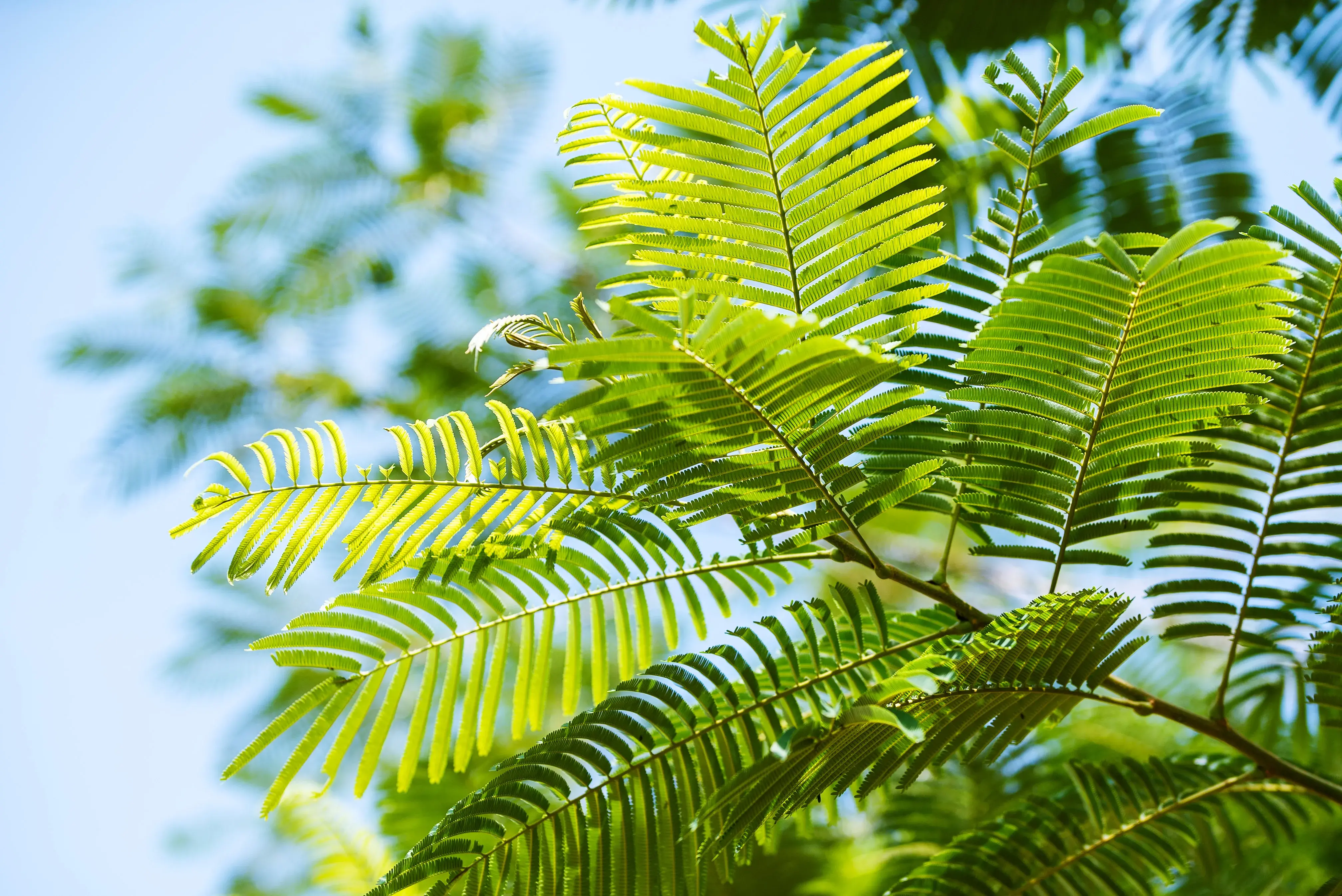 World Bank Group supports countries taking climate action 