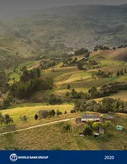 Options for Conserving Stable Forests (Vol. 2) : Executive Summary