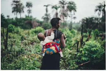 Opportunities for Strengthening Collective Land Tenure Rights in Carbon Fund Countries