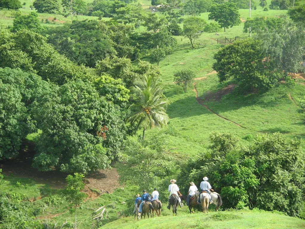Costa Rica's Forest Conservation Pays Off