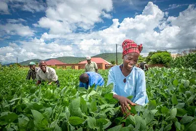 Newsletter July 2023