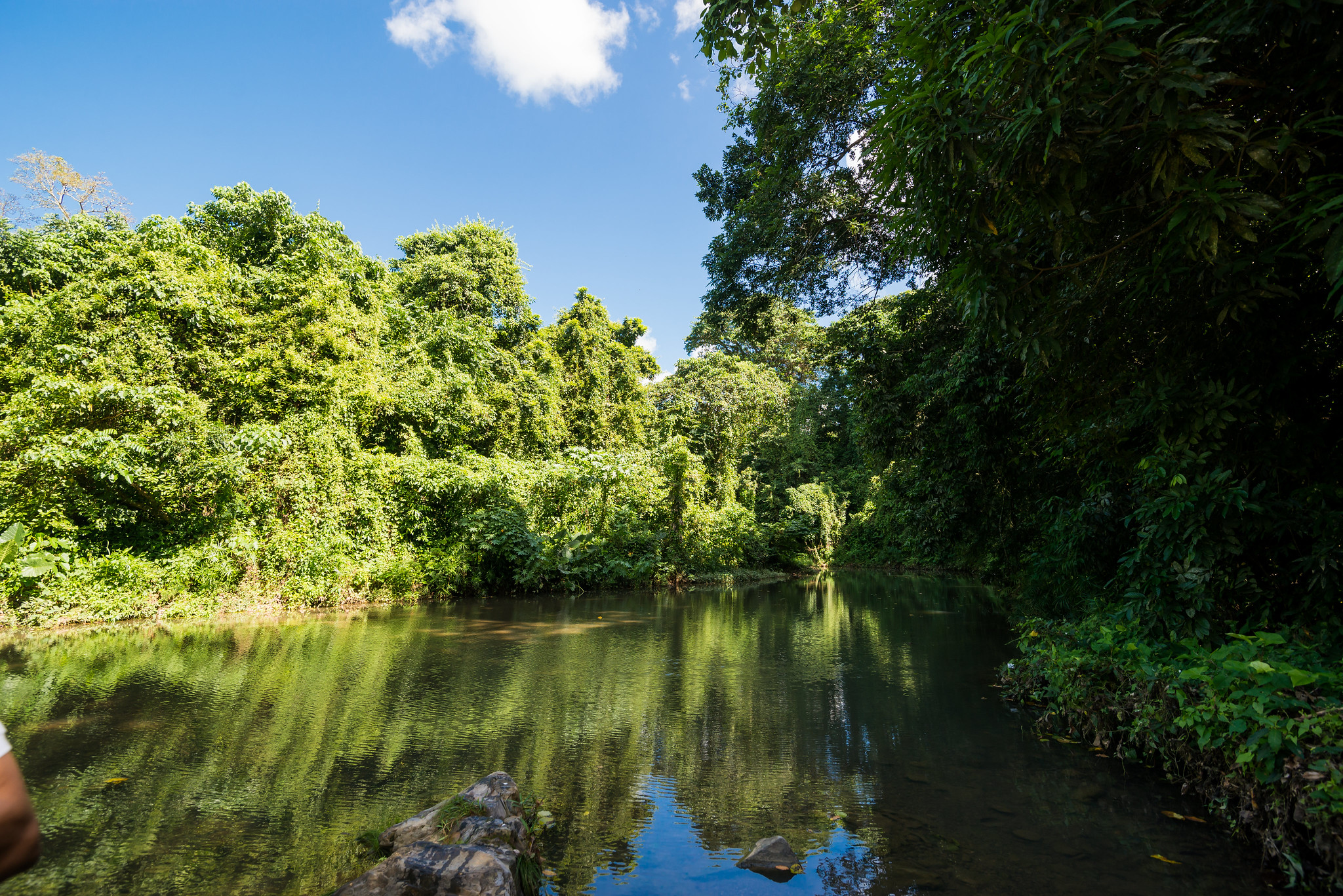 Dominican Republic Receives First Payment for Verified Carbon Credits 